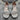 De Blossom Collection Heels 8