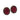Sorrelli Earrings
