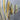 Umgee Top Large